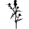 fleurs design 2