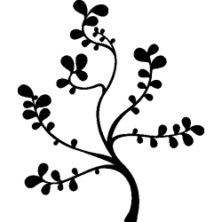 chardons