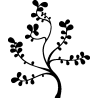 chardons
