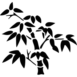 design floral