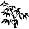 design floral