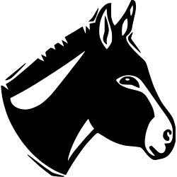Ane