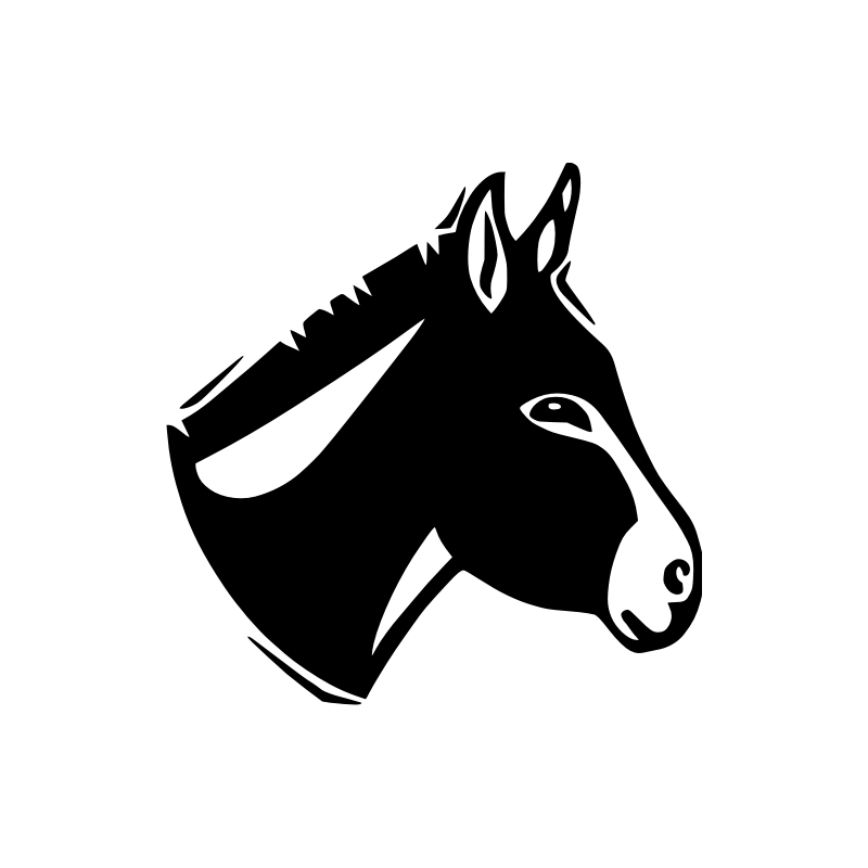 Ane