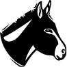 Ane
