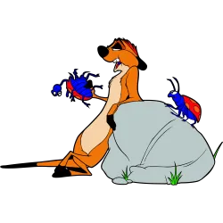 Timon relax