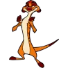 Timon plateau