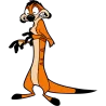 Timon content