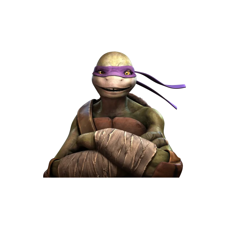 Tortue Ninja Raphaelo