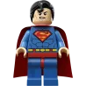 Lego Robin