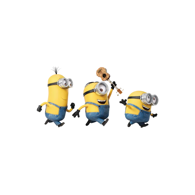 Déco Minion Stupide
