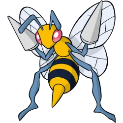 Coconfort pokemon 014