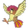 Roucool pokemon 016