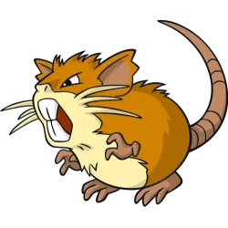 Rattata pokemon 019