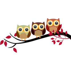 Trois oiseaux sur la branche