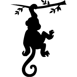 kangourou