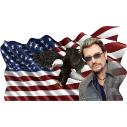 Johnny Hallyday Coeur