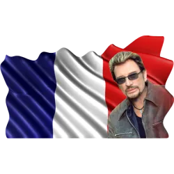 Johnny Hallyday drapeau americain