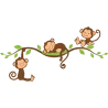 Singes