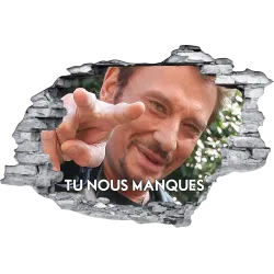 Johnny Hallyday buste
