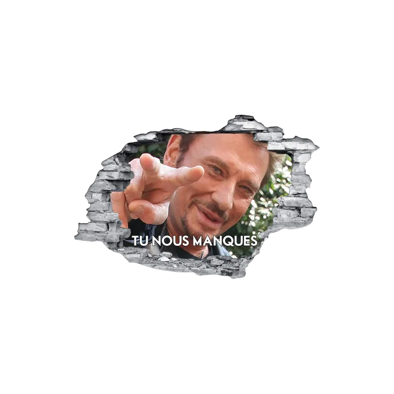 Johnny Hallyday buste