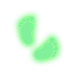 Petit pied