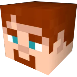 Autocollant minecraft tete