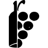 Bouteille et Grappe
