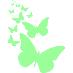 Papillons de nuit