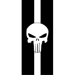 Sticker deco capot punisher 1