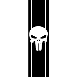 Sticker bande punisher 2