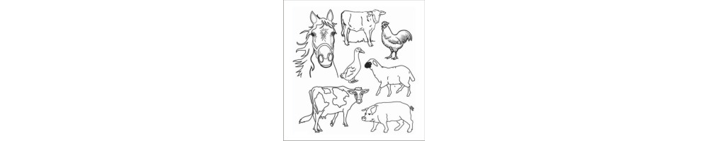 Stickers et autocollant animaux, chevaux, chiens, chats, oiseaux