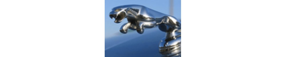 Stickers et autocollant jaguar