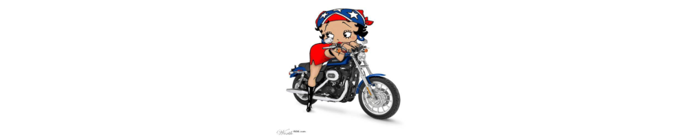 Sticker et autocollant Betty Boop couleur