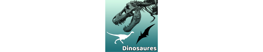 Stickers Dinosaure | Autocollants Dinos Enfants & Déco