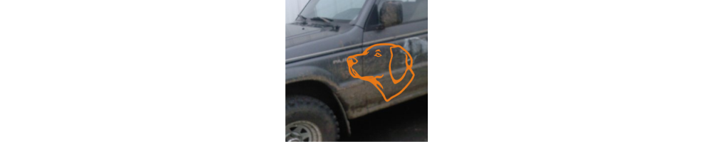 Têtes de chiens