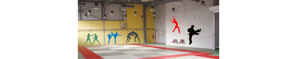 sport combat